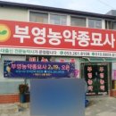 경북농약종묘사 이미지