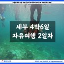 제이홀스클럽 | 세부 4박 6일 자유여행기 2일차 - 미친 텐션 세부클럽호핑, 요트 위의 선상 파티와 완벽한 하루