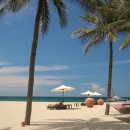 바인커머스 이미지