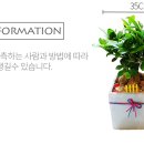 남양꽃집힐링플라워 이미지