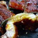 대승장어 이미지