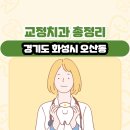 서울리온의원 | 경기도 화성시 오산동 교정치과 총정리