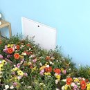 배곧새봄유치원 이미지