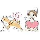 오 동물병원 이미지