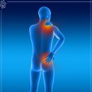 관절 근육 강화 운동 이미지