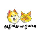 야옹마켓 | 네이처스 로직 케이나인 사르딘 밀 피스트 급여후기_<히동이와 야옹이네>