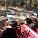 용인대 검무관 이미지