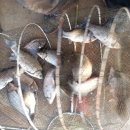 석곡낚시터 이미지