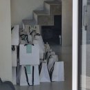 Somewhere in Between 사진전 후기 이미지