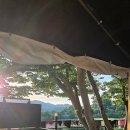 고은집펜션독채 이미지