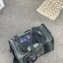 시간여행자의 남도여행