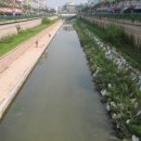 동평화시장 이미지