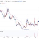 씨엔씨컴퍼니 이미지