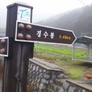 경수봉민박 Daum카페