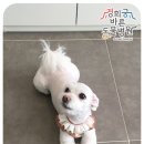 경희궁 바른 동물병원 이미지