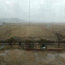 디비디비(dbdb)