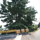 솔빛 2농장 이미지