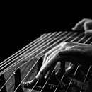 (사)한국가야금연주가협회 이미지