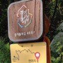 승민회센타 네이버블로그
