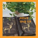 중열농장 | 녹용 녹각 차이점과 부작용은? 바른농장 생녹용 진액 추천하는 이유