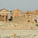 아메리카나 이미지