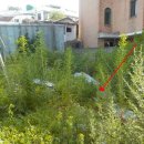 수원-1276 이미지