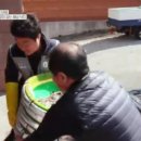 매일낙지 이미지