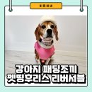 가성비 좋은 강아지 패딩조끼 펫띵 후리스 리버서블 내돈내산 후기