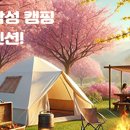 초리풍경 이미지