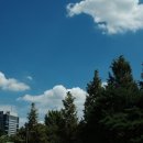 리코몰