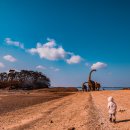 학성3리마을회관 이미지