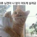 맥(MAC)Ⅱ | 숨겨왔던 나의 수줍은 마음 모두 네게 줄게... 워우워어~