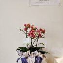 광승농장 이미지