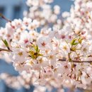 경희보인한의원 이미지