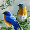 퀘렌시아 이미지