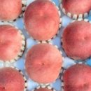 수진농장 이미지