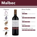 1865 | 셀렉티드 빈야드 말벡 2020 아쉬움 가득한 후기 (San Pedro 1865 Selected Vineyards Valle de Uco...