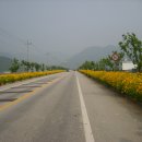 칠보우회도로 이미지