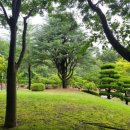 그림책과 숲숲자란다 이미지