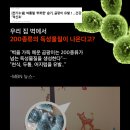 바른도배인테리어 이미지