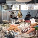 낭만 in 호스텔 | [2024] 몰타(Malta)✱스피어피싱 후기