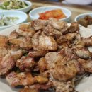 춘양천 Daum카페