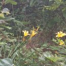 완주 편백숲 관광안내소 이미지