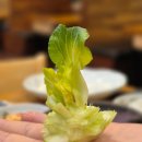 UR(오산시)-[큰말길]-상-2 | 내돈내산 홍매화쌈밥 오산점 후기입니듀아아