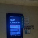 호텔본 | 창원 명서동 호텔 '트루' 출장으로 머물러본 내돈내산 후기