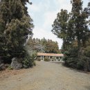 상천리보건진료소 이미지