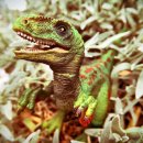 벨로시랩터 이미지