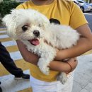 오태동물병원 이미지