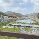 삼닭농장 이미지