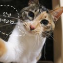 투썸플레이스수원나혜석 이미지